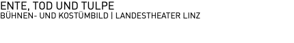 ENTE, TOD UND TULPE BÜHNEN- UND KOSTÜMBILD | LANDESTHEATER LINZ